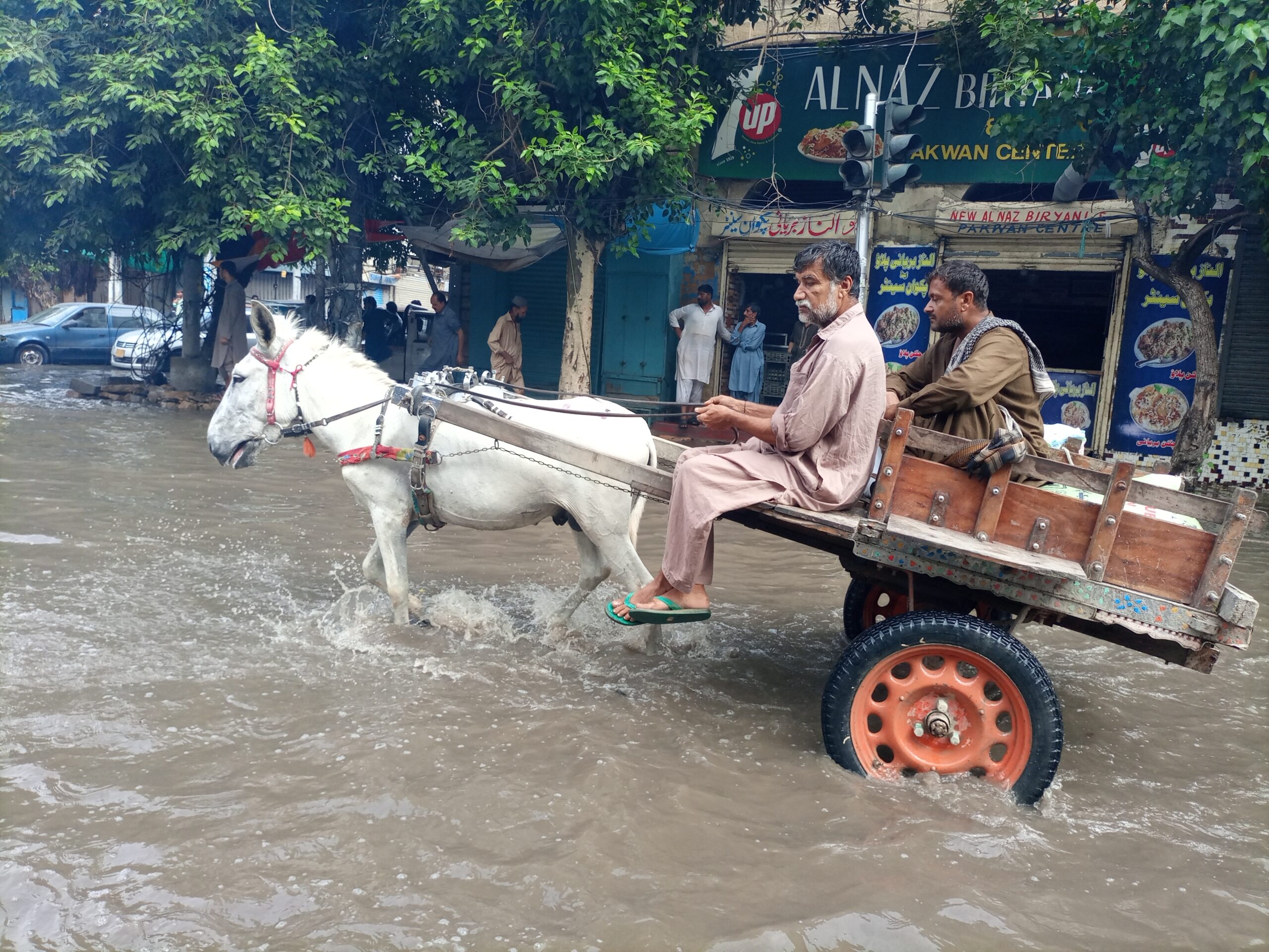 A,Mule,(donkey),Cart,In,A,Flash,Floods,Water,In
